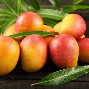mangos